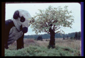 Fischli & Weiss